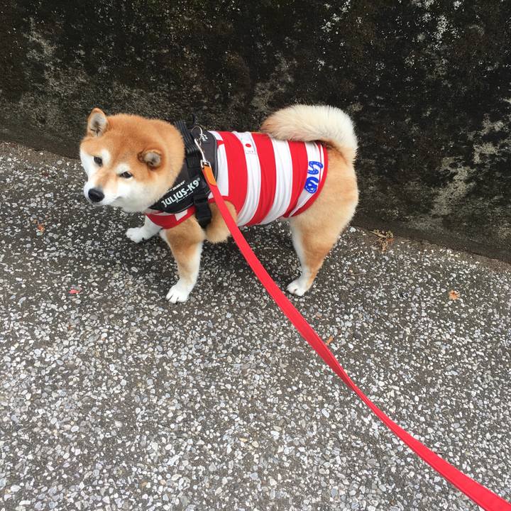 6427710a 20f8 46b0 8ec7 6d0e05763e6a 1592438901118