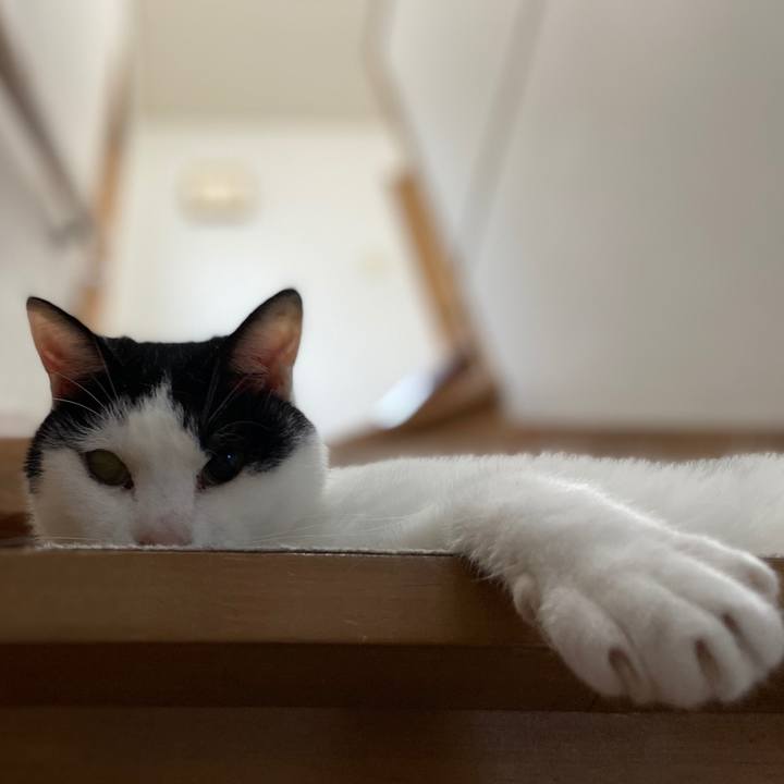 6427914a bf12 4644 989b 75c827c580de 1588767202511