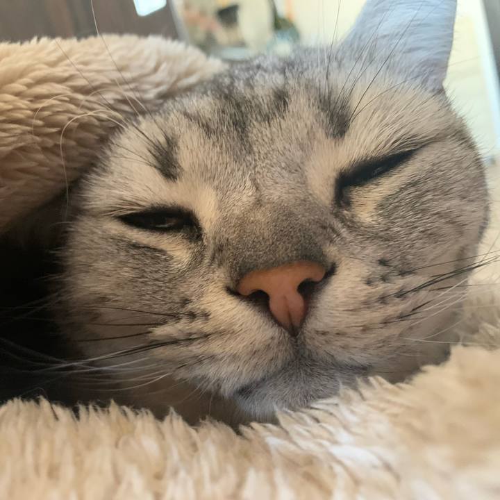 64280a90 2450 44e7 9185 d5361b0d96ca 1646438419194