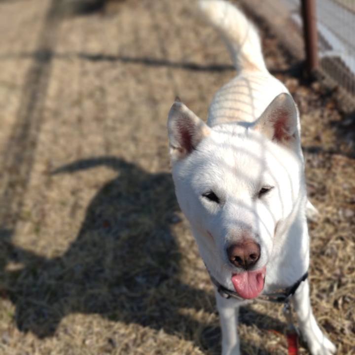 64280aa4 6731 41eb 94b3 ea3ee6fd7d4e 1648945790347