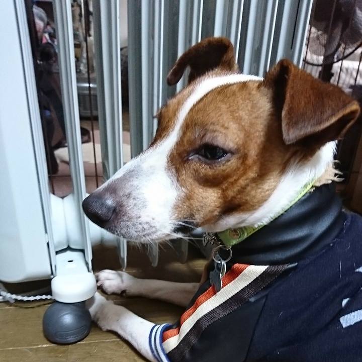 642843d0 7297 45e7 a5b1 8e1caecbe6ab 1577681257212