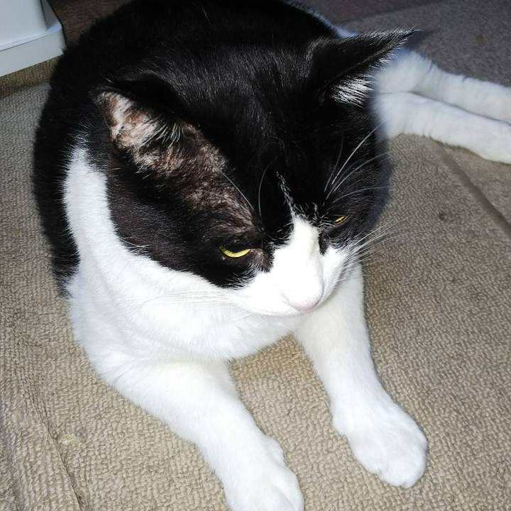 64284fd8 334f 4a16 aa2f d437239f7348 1533851277874