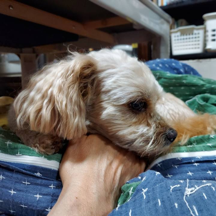 64286628 e1fb 419f a71a e048152c7dbe 1631794181369