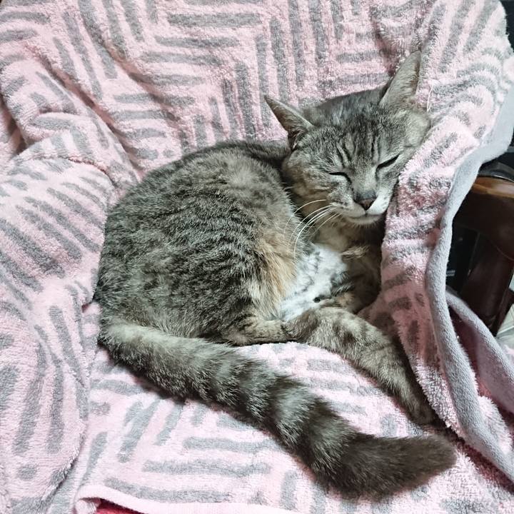 64288bec b7b8 4f8a 8dec 354cee57380c 1590143142792