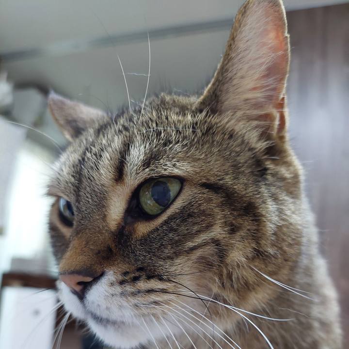 642891dd 8296 4f9f 872e dd4acfd13e27 1738361561412