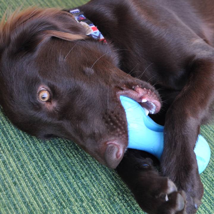 642899db 8c1f 4aa7 81f4 26f3f91a9cd8 1573480201031