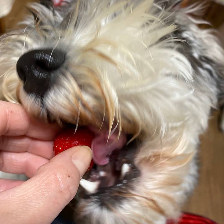 64289a1e df1e 4b4d b8ff 48dec383b97a 1590589267376