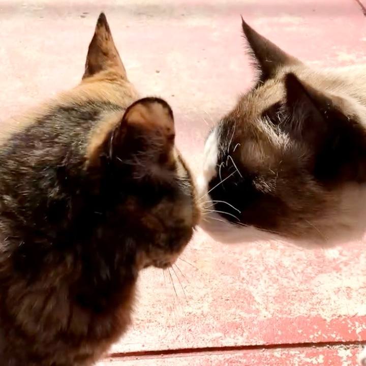 6428a8b5 996c 4a5f 8f5c 8e1089d9b5ef 1743645569522