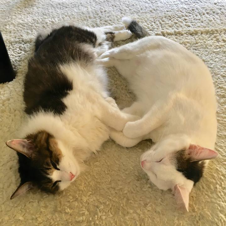 6428aabe 820e 4889 9443 0a938c300c71 1524224612579