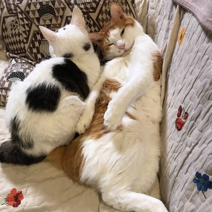 6428bbda 9a3d 4c7d b207 cc4aebc5f735 1578574721799