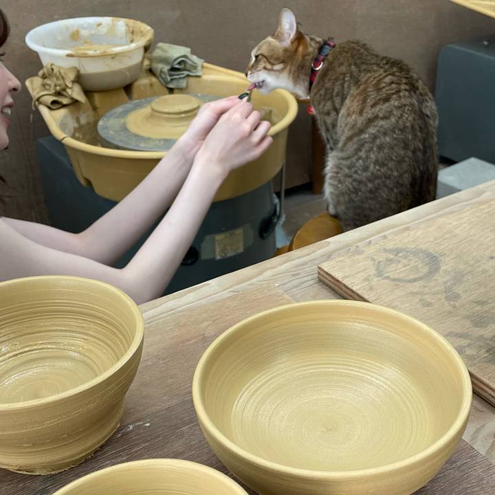 6428cb16 e06d 4f25 943a c6e0767b9bb4 1715606053442