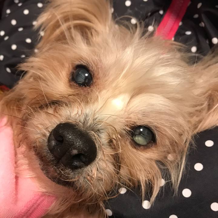 642927ad 1463 4d43 ab76 b4bce7b4d3ec 1549854946774