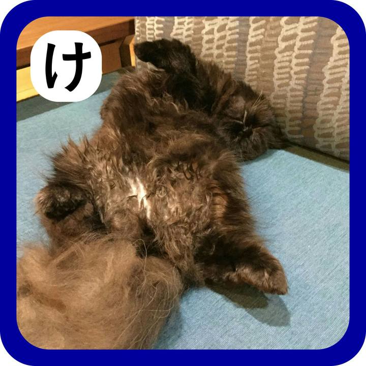 64293ed6 0ed6 41e5 ae7b b844d5854309 1514772689411