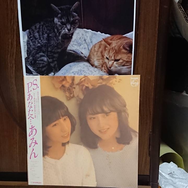 64294384 152c 4828 9833 8d23fa2fe981 1600601196275