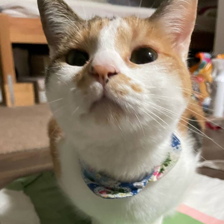 642947e4 5b02 4752 9bc0 889da96fbd52 1696675788836