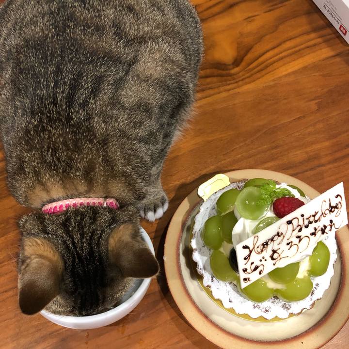 642976ed c978 4a31 9fa1 1d0d226ac250 1631190434058