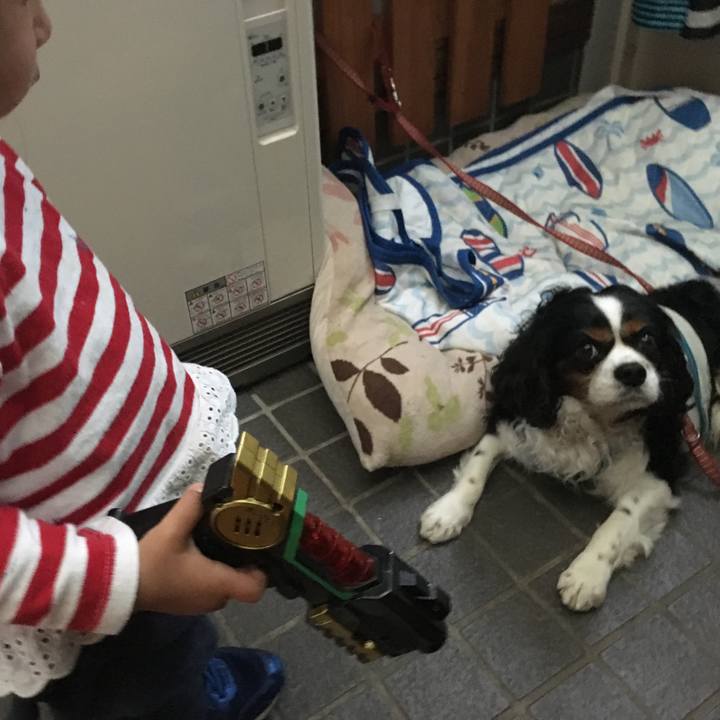 64297888 726e 47d6 b00d fecff8a9c768 1525607112187