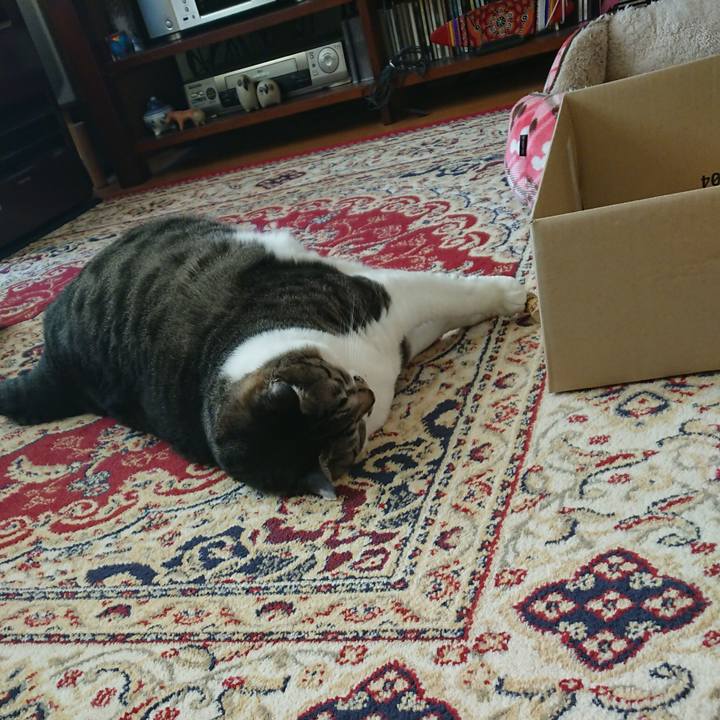 6429a91e 2f5f 44c4 8728 45134190e7d8 1575599150452