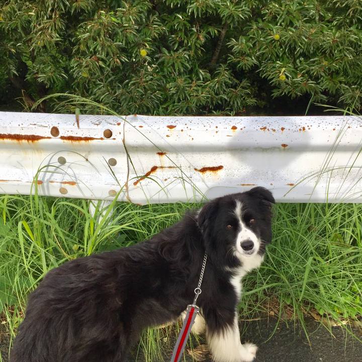 6429b635 f7f2 45d9 83e6 f349abd21ae0 1567553014482