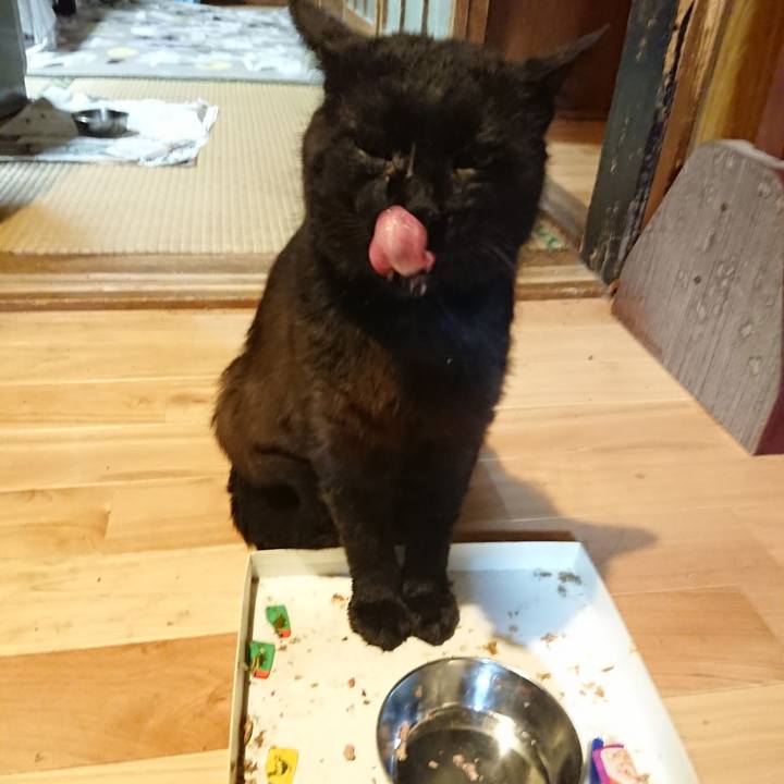 6429da0a 09e0 40a8 96f0 f7d3a77285f2 1624460144680