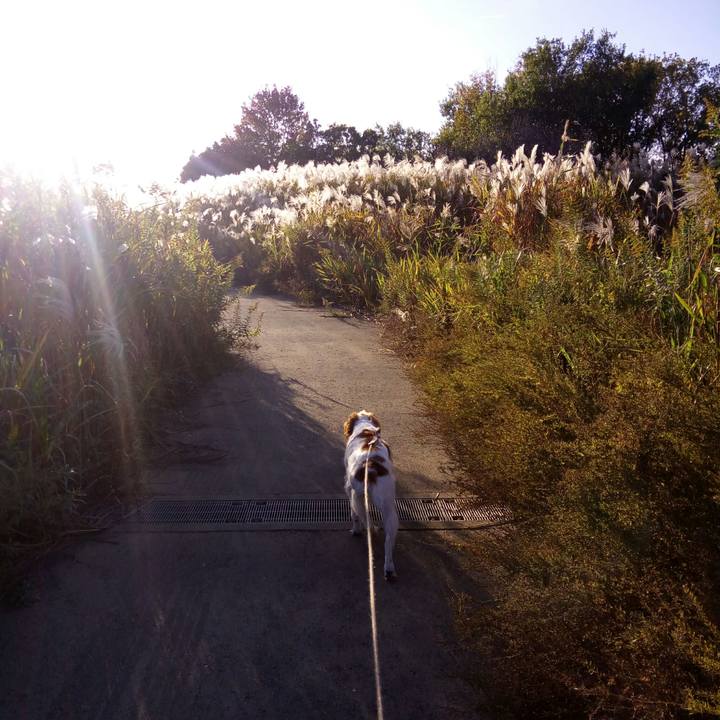 6429e8a8 9b43 4cf3 9775 f26b7f53e86e 1510576774378