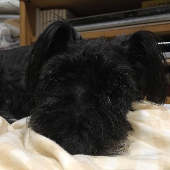 6429eb58 3c7a 4f84 b00b 658891cb2550 1538179126092