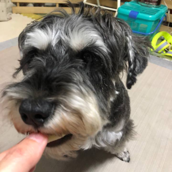 6429f345 56bc 438d b9a2 ed189d032984 1633867302128