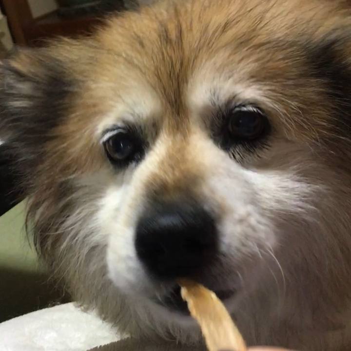 6429fdc8 7bfc 43f7 afbe 8c412d78cad9 1563230806717