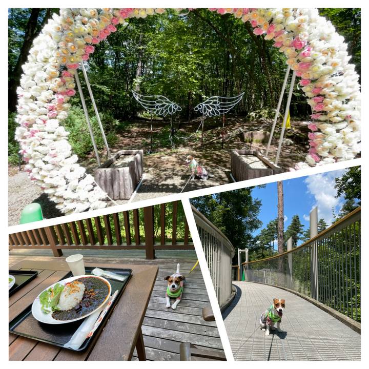 642a2f57 5233 454c 9b74 6d2f92e125f0 1628137168194