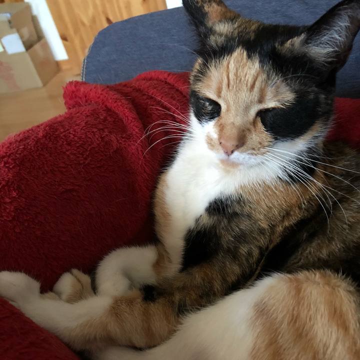 642a31aa d21d 4a97 b9c9 09a17be9cd03 1526964267704