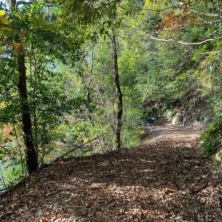 642a4263 1169 4d57 8bd8 d1a29429a369 1638772335118