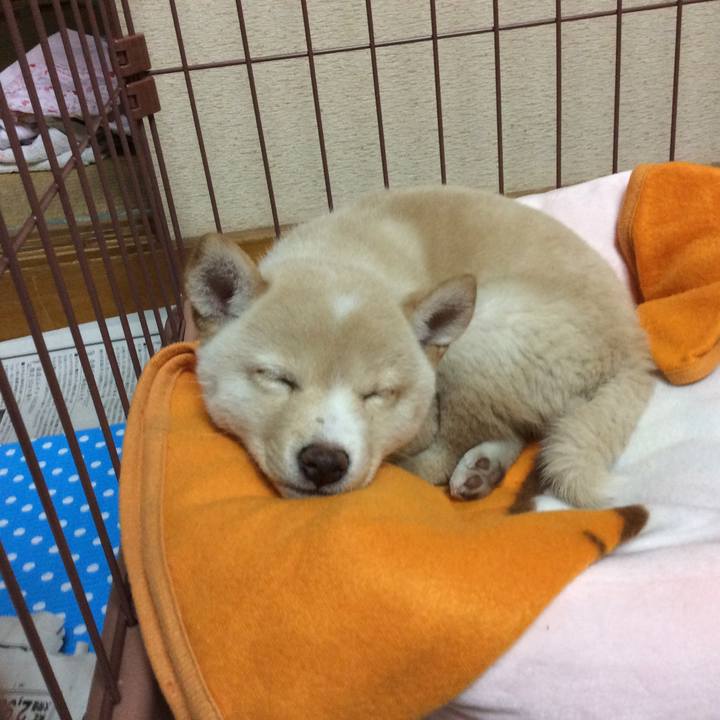 642a8c8a 7f5b 407d bc2b ebf5a4d1d6a3 1645226561951