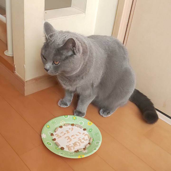 642ab414 0c8f 4c9c 900c 9068415afa0f 1577515199422