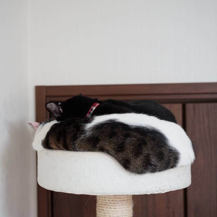 642ac7d8 02b3 493b b510 88b9b10617f1 1548286101981