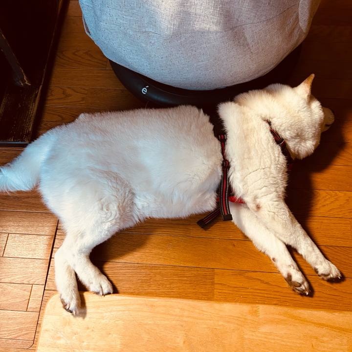 642addf3 1bbe 4cd8 a7ab 0adb11030dc9 1768084217220