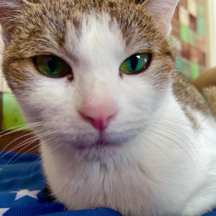 642b0479 3baa 4b42 bcce 19bff3c5cb55 1636767257463