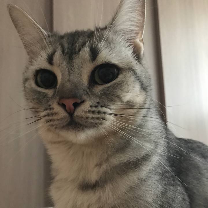 642b2686 ac2d 4f52 9bfa 254fdaf0393a 1507945373694