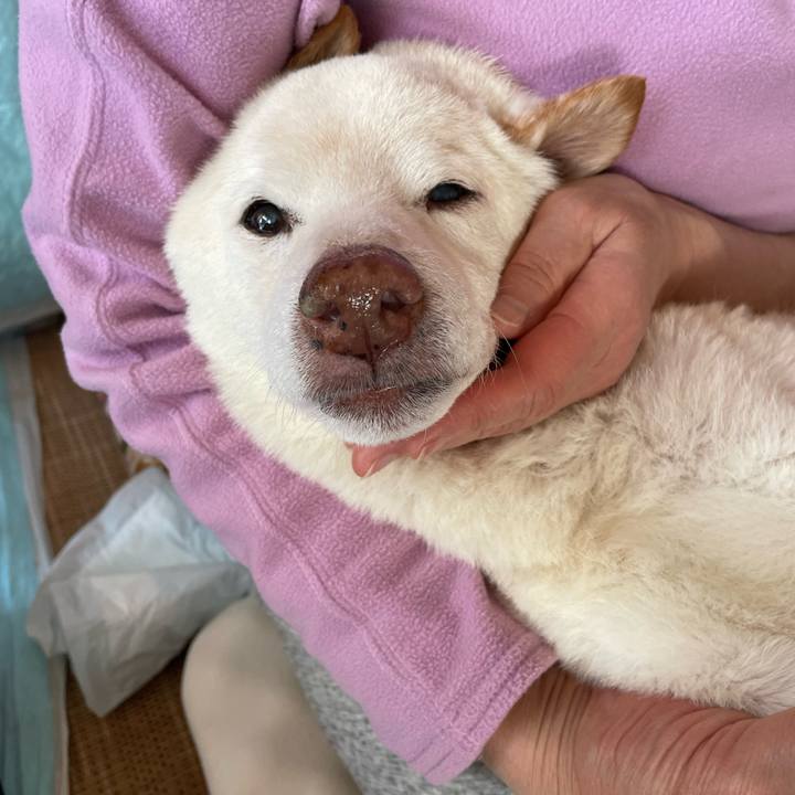 642b2b62 7b45 45a2 aa73 21aaeb6e81e7 1674123575006