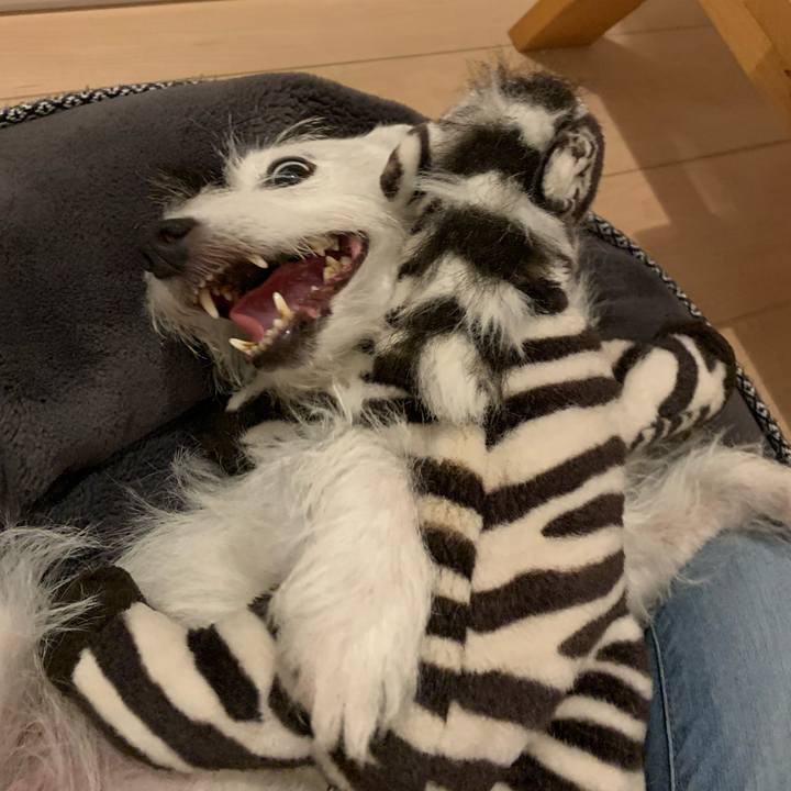 642b4341 ce7e 4625 aefd 32a4108b9d9d 1661951612740