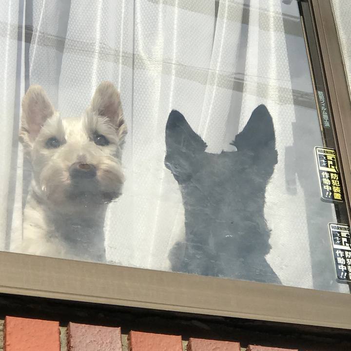 642b44f3 2335 447c 9715 f2c324ebd884 1557903412180