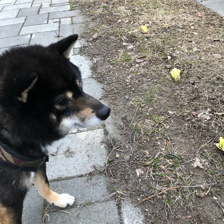 642b6c37 3bd7 45c3 8180 e1b87a5c0981 1522985935775