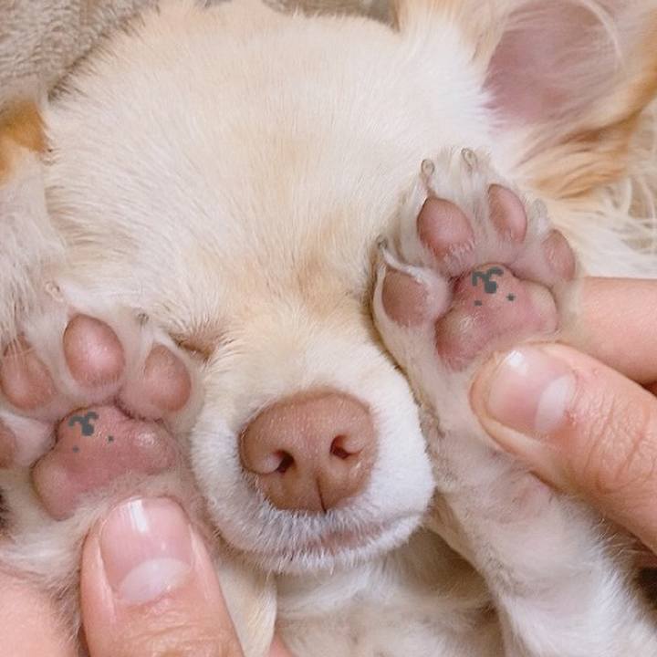 642b6e34 3812 4082 96e2 f1b2a87894aa 1611974926707