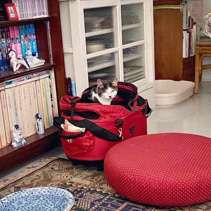 642b7326 f856 4184 a2b6 2ee03ee00320 1593338218776