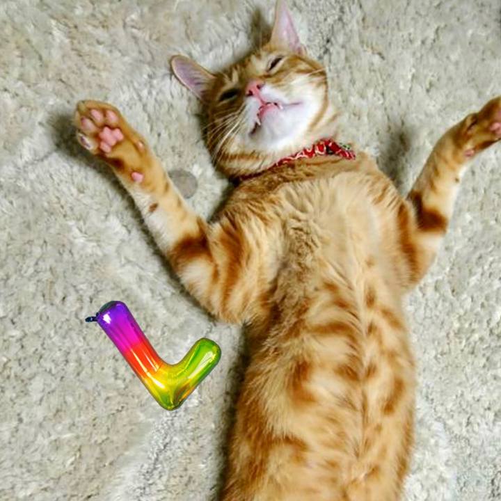 642b77e3 d6cc 4eff ae6f 5bda23aba774 1686654039660