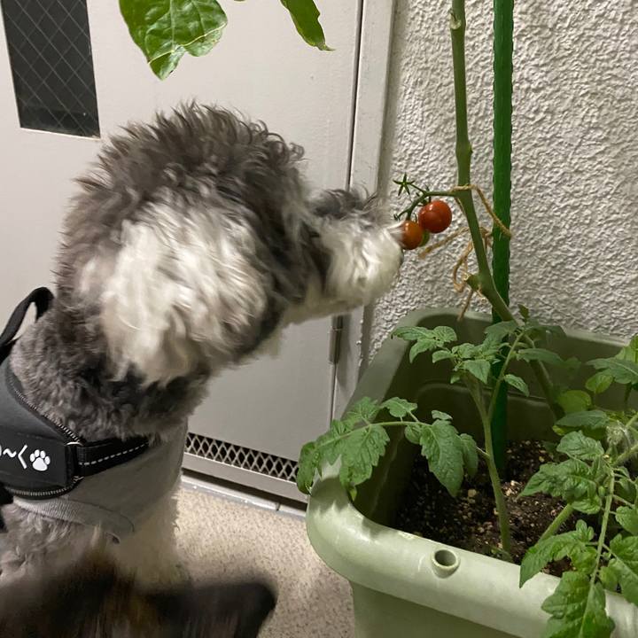 642b8289 4bc5 417d bbb5 200f673433de 1591973074274