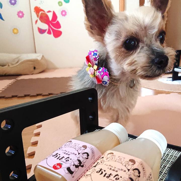 642bd1a8 ce4e 4e86 9238 0a446d5485c9 1628937973726