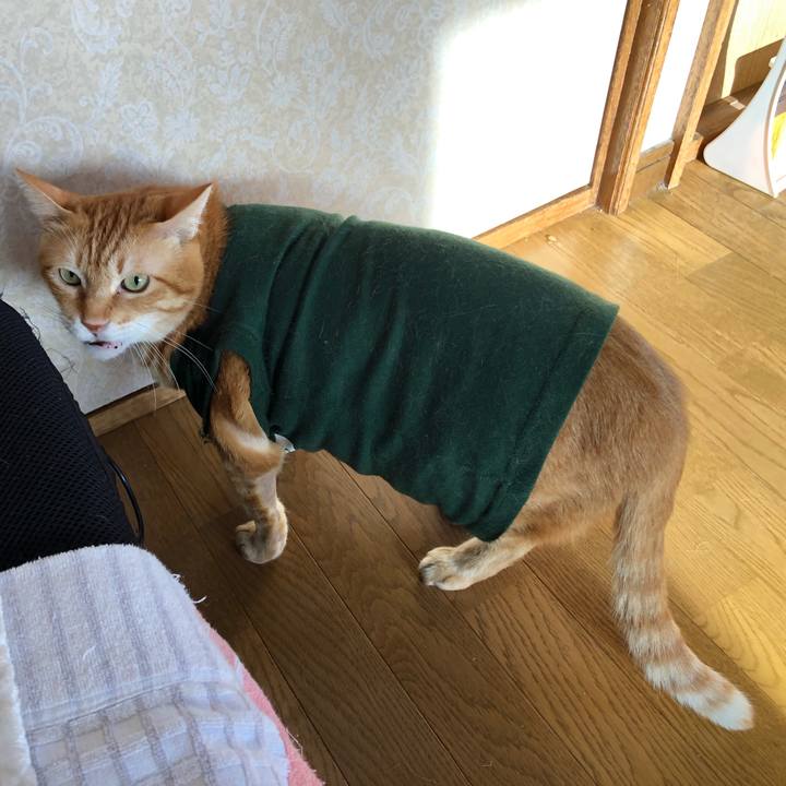 642bdc50 56c2 4e46 9eb0 f711b40f344a 1631607581400