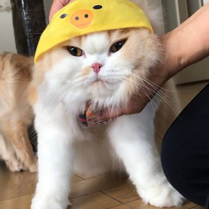 642c0b05 7bc6 4d0e 8b22 8af47c9445c0 1560664955077