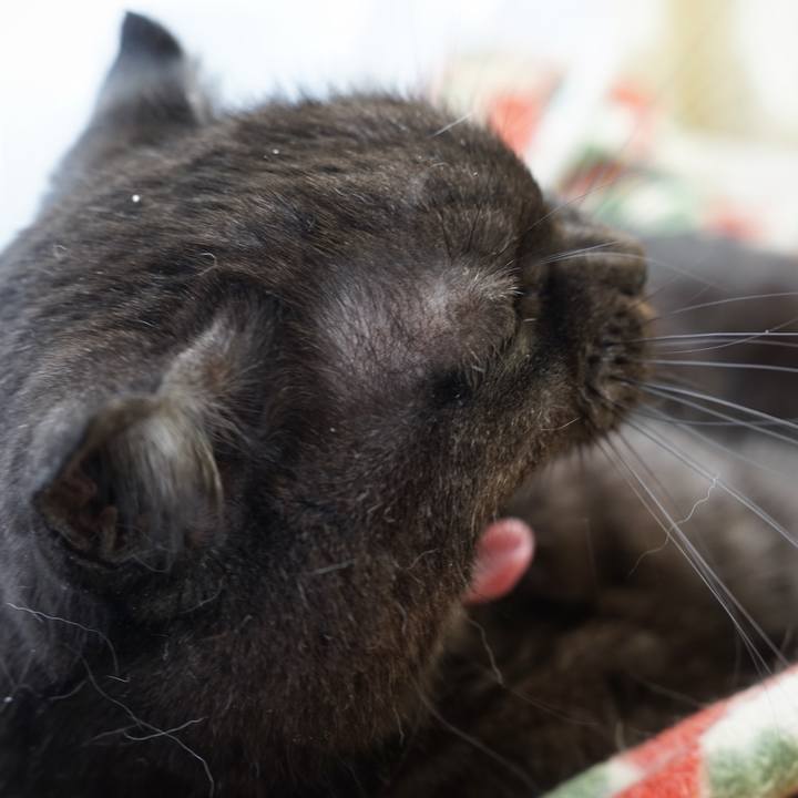 642c35e5 8998 4897 bcc3 02da64681fc5 1575819429243