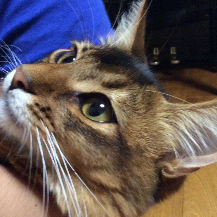 642c3f6b 1d26 434c b81f 9f13a574ffd2 1567169008270